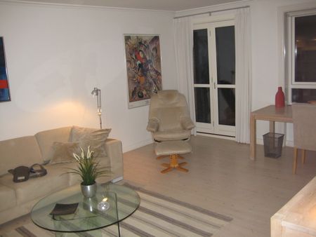 Møbleret stor 2 vær. i charlottenlund - kun internationale kunder - Photo 4