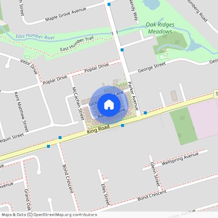 22 Banshee Lane, Richmond Hill