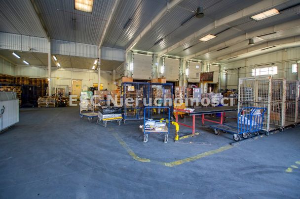 Piła, Zamość - Фото 1