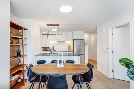 1150 Boul. René Lévesque E., Montréal (Ville-Marie), QC H2L - Photo 3