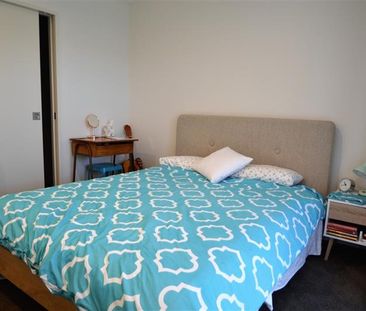 1/316 Annesbrook Drive, Annesbrook, Nelson - Photo 4