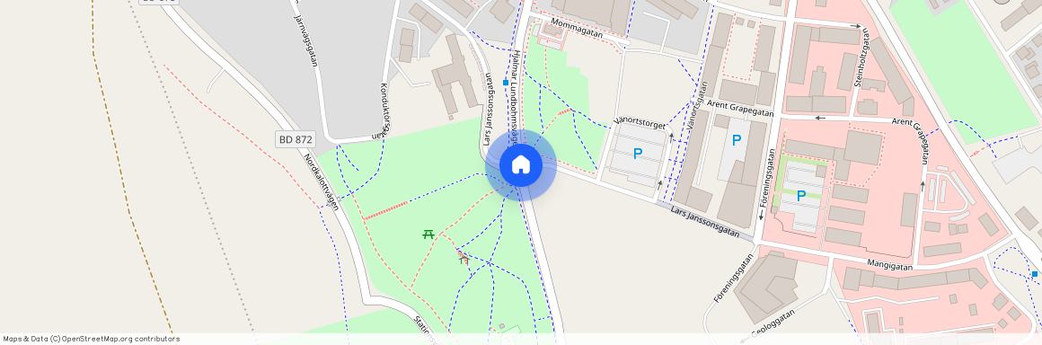 Börje Salmings gata, Kiruna