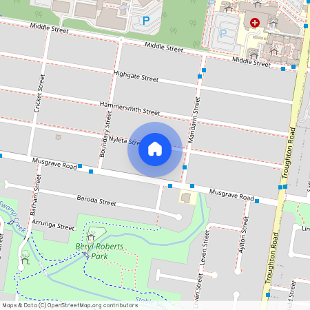 109 Nyleta Street, Qld 4108, Coopers Plains