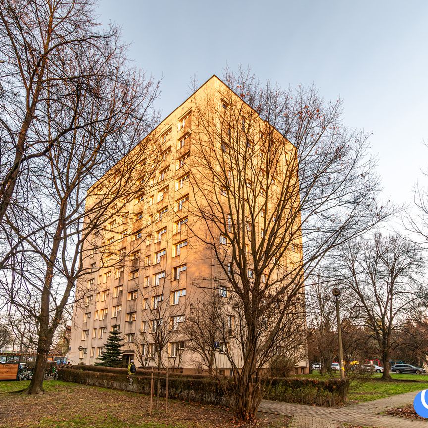 Przytulny open space 35m2 *Pętla Azory* IKEA - Zdjęcie 1