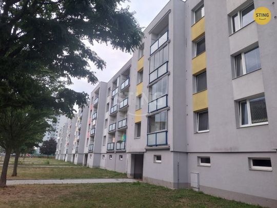 Byt 3+1 k pronájmu, Pardubice / Cihelna, ulice U Josefa - Photo 1