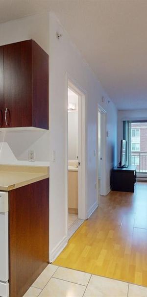 1 Bedroom - 1350 Rue Palerme, Montréal - Photo 1