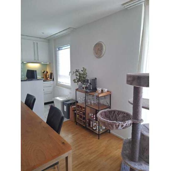 3½ Zimmer-Wohnung in Luzern, möbliert, auf Zeit - Foto 1