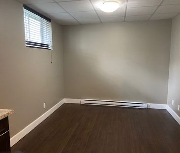 Naylor 1420 Lower Available May 1, 2026 - Photo 5