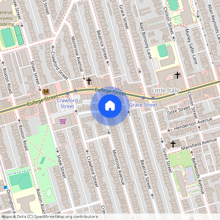 181 Montrose Avenue Unit# Lower, Toronto