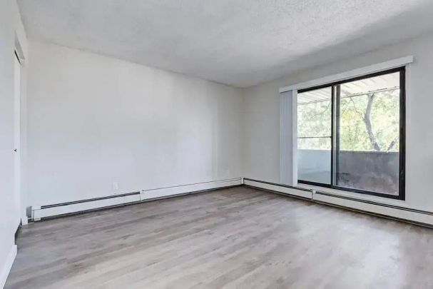 1 Bedroom - Photo 1