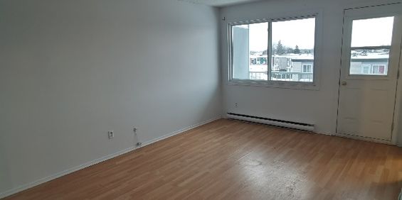 23 Rue Meunier (Hull) Beau Logement 1 Cc - Photo 3