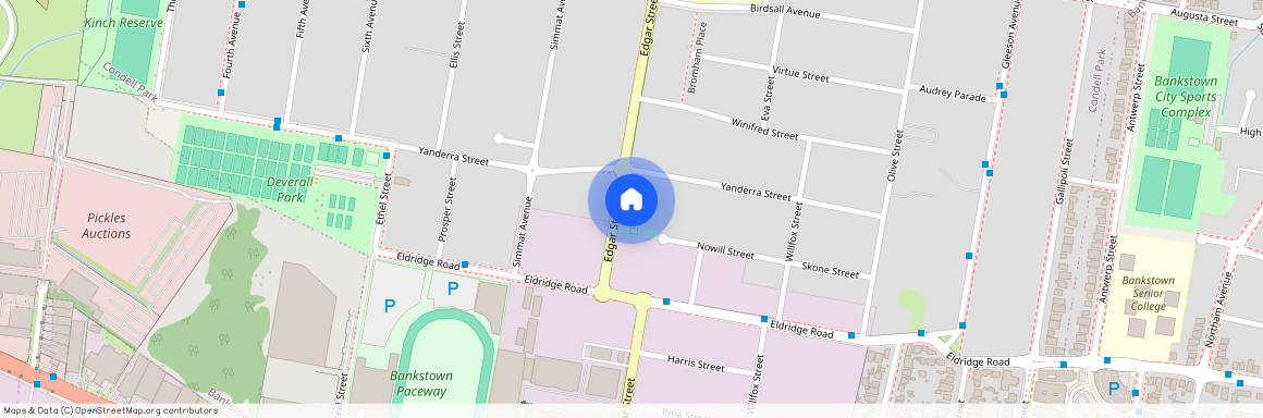 249 Edgar St, NSW 2200, Condell Park