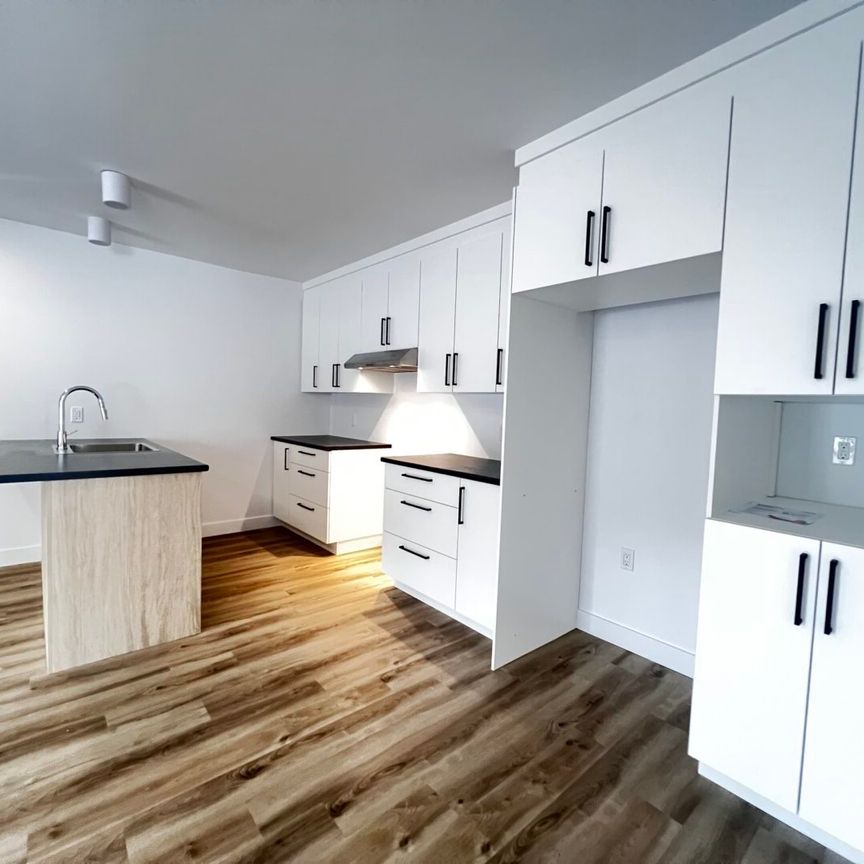 6005#3 rue de la Mattawin Trois-Rivières - Photo 1