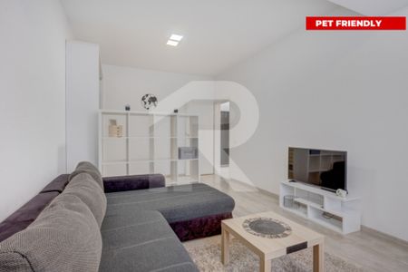 POPESTI – SOLSTITIULUI – GARSONIERĂ 35MP, CENTRALA, PET - Photo 2