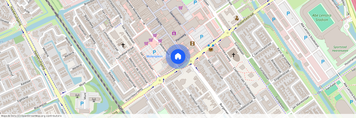 van Riesenstraat 12, 8442 CC, Heerenveen