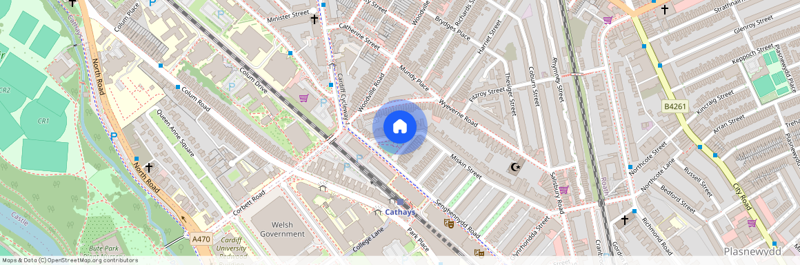Miskin Street, CF24 4AS, Cathays