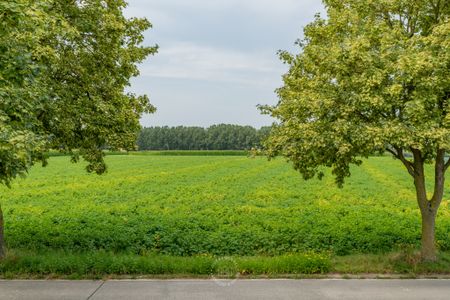 Huis te huur in Deinze - Foto 5