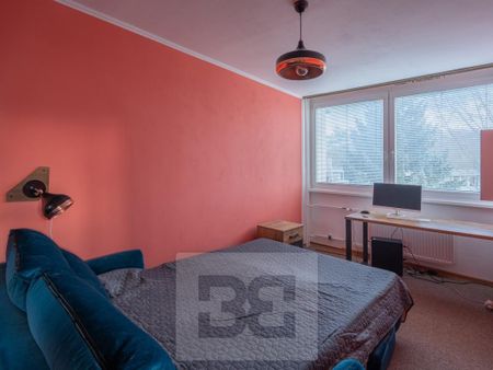 Pronájem bytu 2+1 47 m2 - Fotografie 2