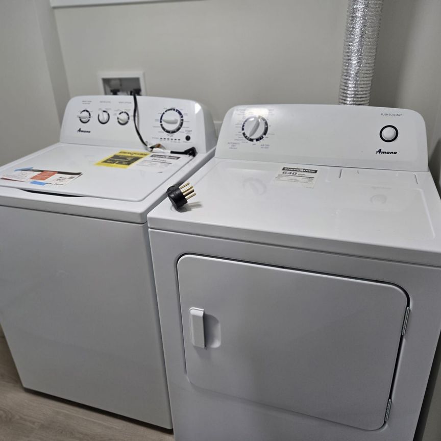 For Lease - 111 Mcallister Road Unit# Bsmt B, Toronto, Ontario - Photo 1