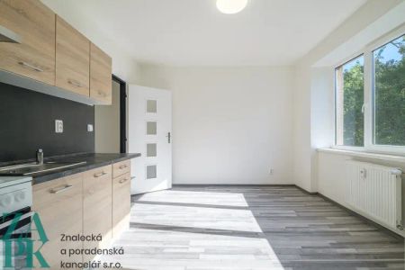 Pronájem bytu 1+1, Střekov, Ústí nad Labem - Photo 4