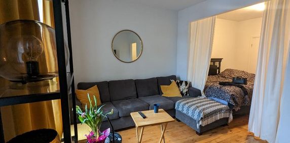 5 1/2 a louer (Loyer de novembre 2025 gratuit) - Photo 2