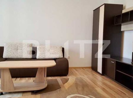 Apartament cu 1 camera decomandata, 44 mp, Henri Barbusse, Marasti - Photo 2