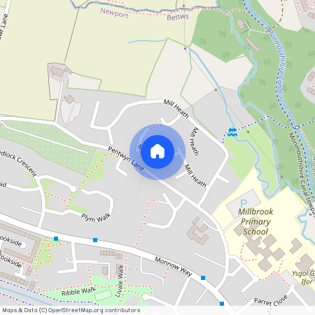 Mill Heath, Bettws, Newport