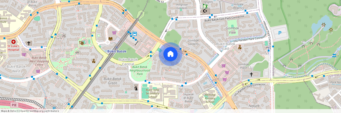 227 Bukit Batok Central (650227), Singapore