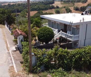 Μονοκατοικία για ενοικίαση Σφενδάμι (Πύδνα) - Φωτογραφία 5