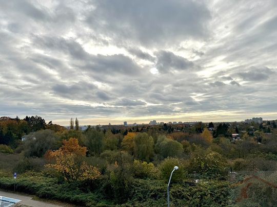 PARK OSTROWSKA widok na panoramę miasta! WYNAJEM (436962) - Фото 1