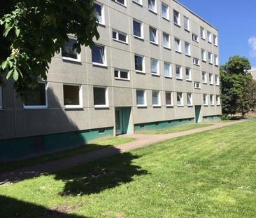 Görlitzer Straße 29, 34123 Kassel OT Waldau - Foto 6