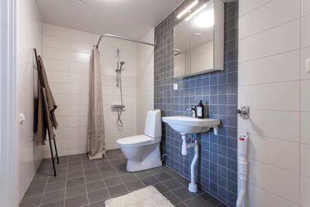 Sveagatan, Herrljunga - Photo 4