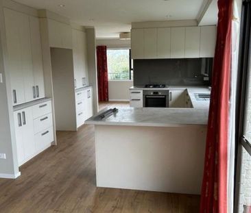 Spacious semi rural home in Matakana school zone - Photo 4