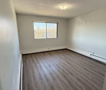 Castleview — Classic 1 Bed 1 Bath - Spacious - HEAT & WATER INCLUDE... - Photo 1
