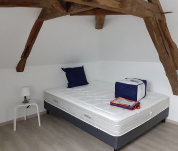 Location Appartement 1 pièce 16m² OUZOUER SUR LOIRE 45570 - Photo 5