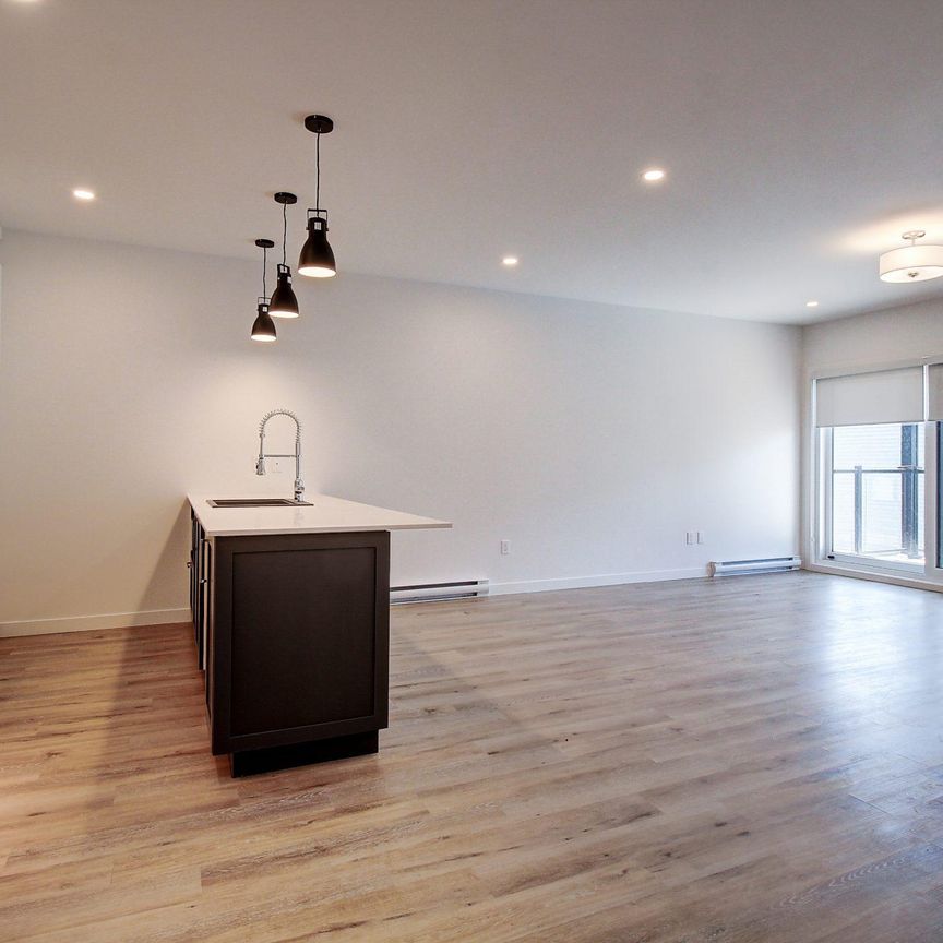 5513, boul. René-Lévesque #303, Sherbrooke (Rock Forest | St-Élie) - Photo 1