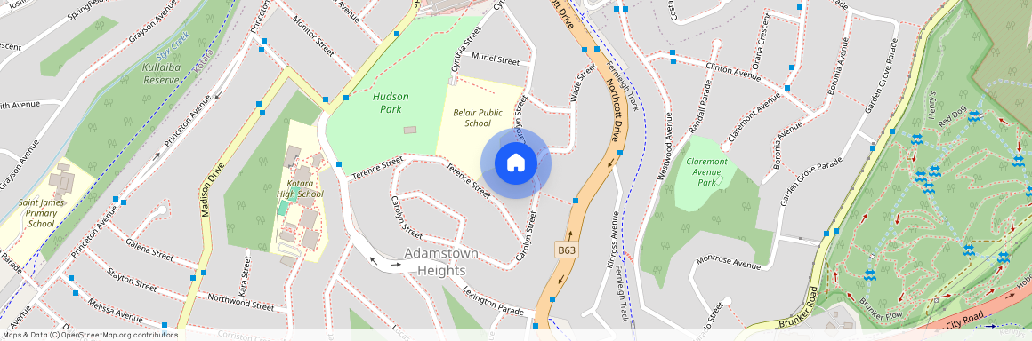 46 Carolyn Street, Adamstown Heights