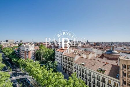 Madrid, Community of Madrid 28008 - Photo 3