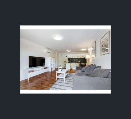 8 Starling Street, Buderim, Qld 4556 - Photo 4