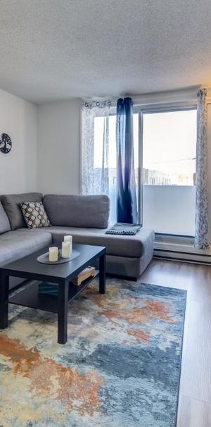 Appartement 3½ à louer – 1 250$/mois 3½ ---- Apartment for Rent – $1,250/month - Photo 1