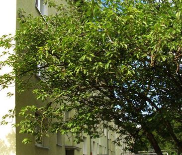 Nachmieter für schöne 3-Zimmer-Wohnung mit neuem Bad gesucht! - Foto 4