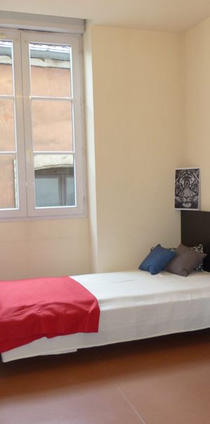 Location Appartement 1 pièce 17m² GRENOBLE 38000 - Photo 1