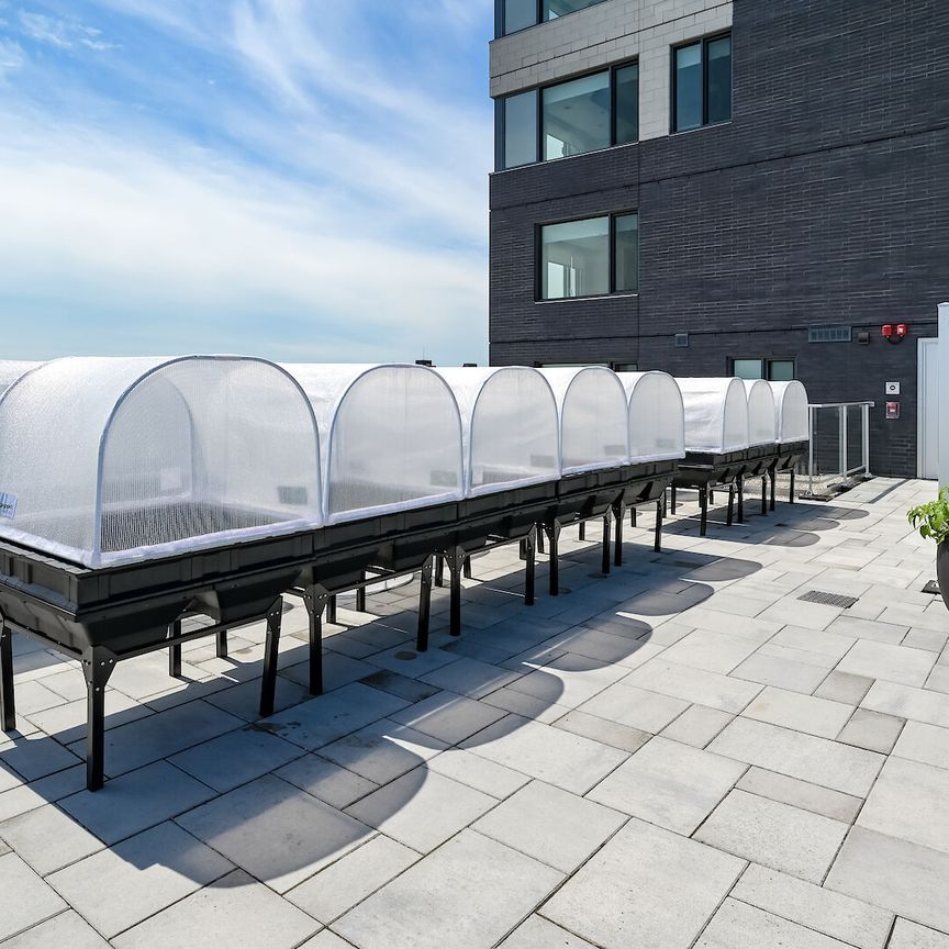 165 Chapel St., Lower Town, Ottawa, ON - Photo 1