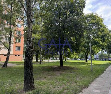 Pronájem bytu 1+1 33 m² - Photo 4