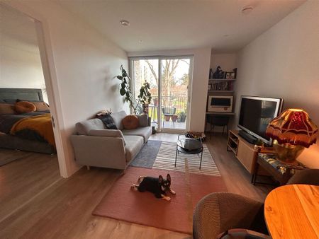 163 Green Acre Grange, Kilmacud Rd, Upper, Dundrum, Dublin 14, D14 N2Y9 - Photo 4