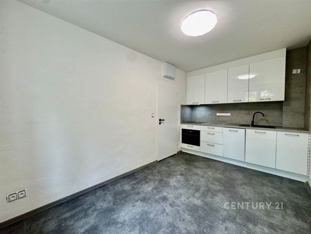 Pronájem bytu 1+1 26 m², Šmejkalova 2305, Brno - Photo 2