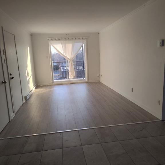 Grand 4 1/2 rénové avec aire ouverte à Ste-Julie - Photo 1