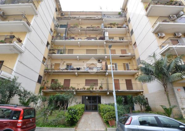Trilocale in affitto