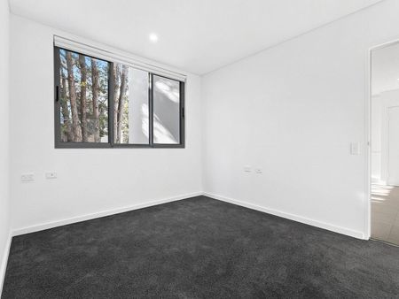 Unit 5/31 Hampden Road, Artarmon - Photo 3