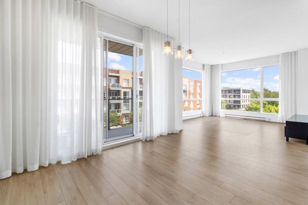 Appartement à louer - Longueuil (Saint-Hubert) (Parc de la Cité) - Photo 1